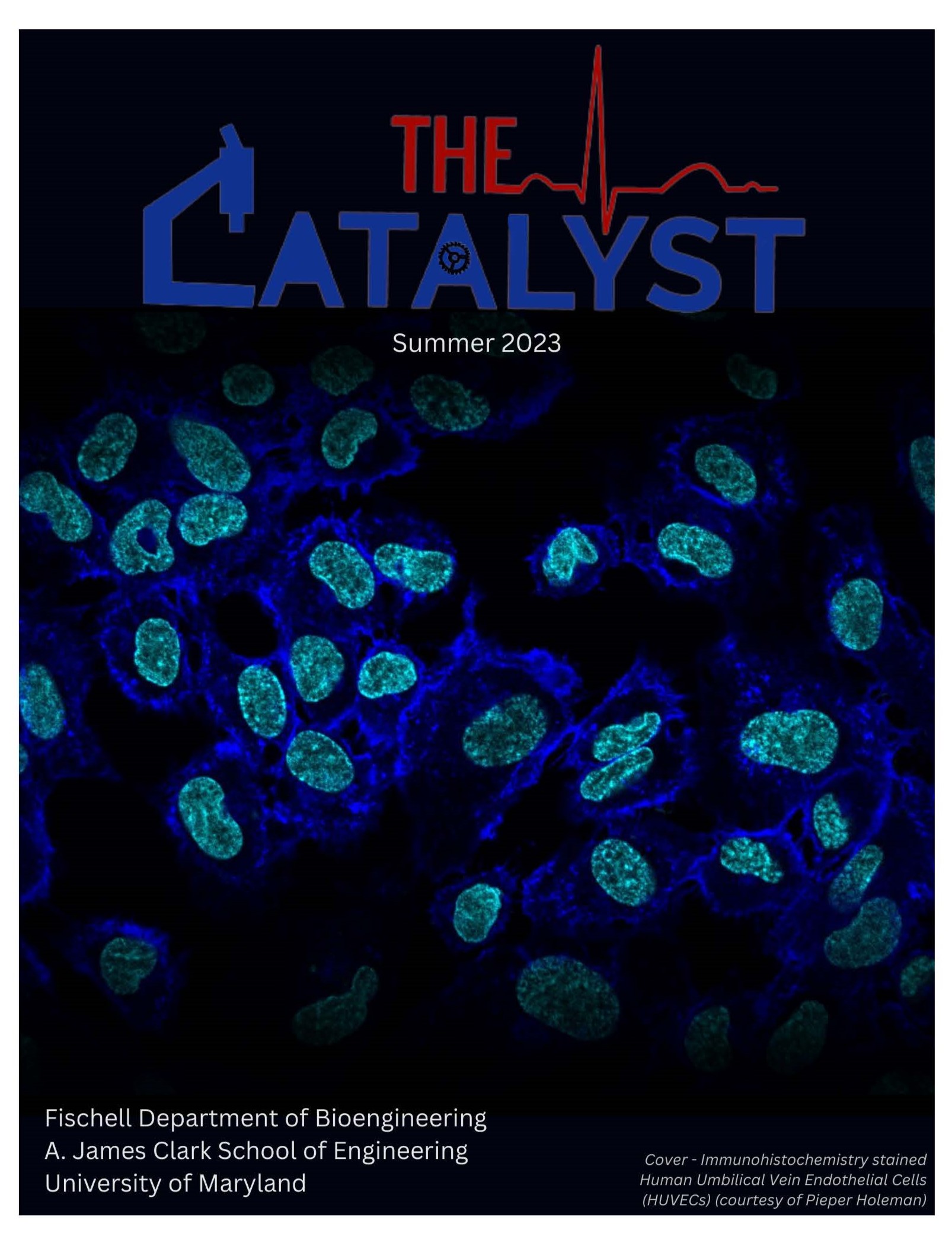 The Catalyst  Fischell Department of Bioengineering