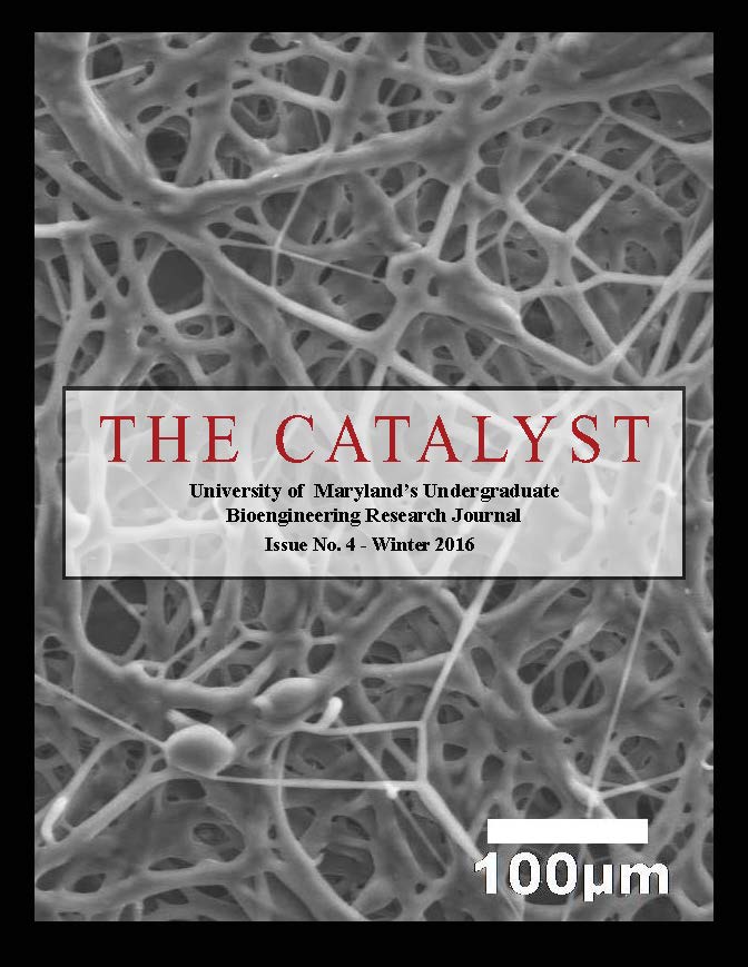 The Catalyst