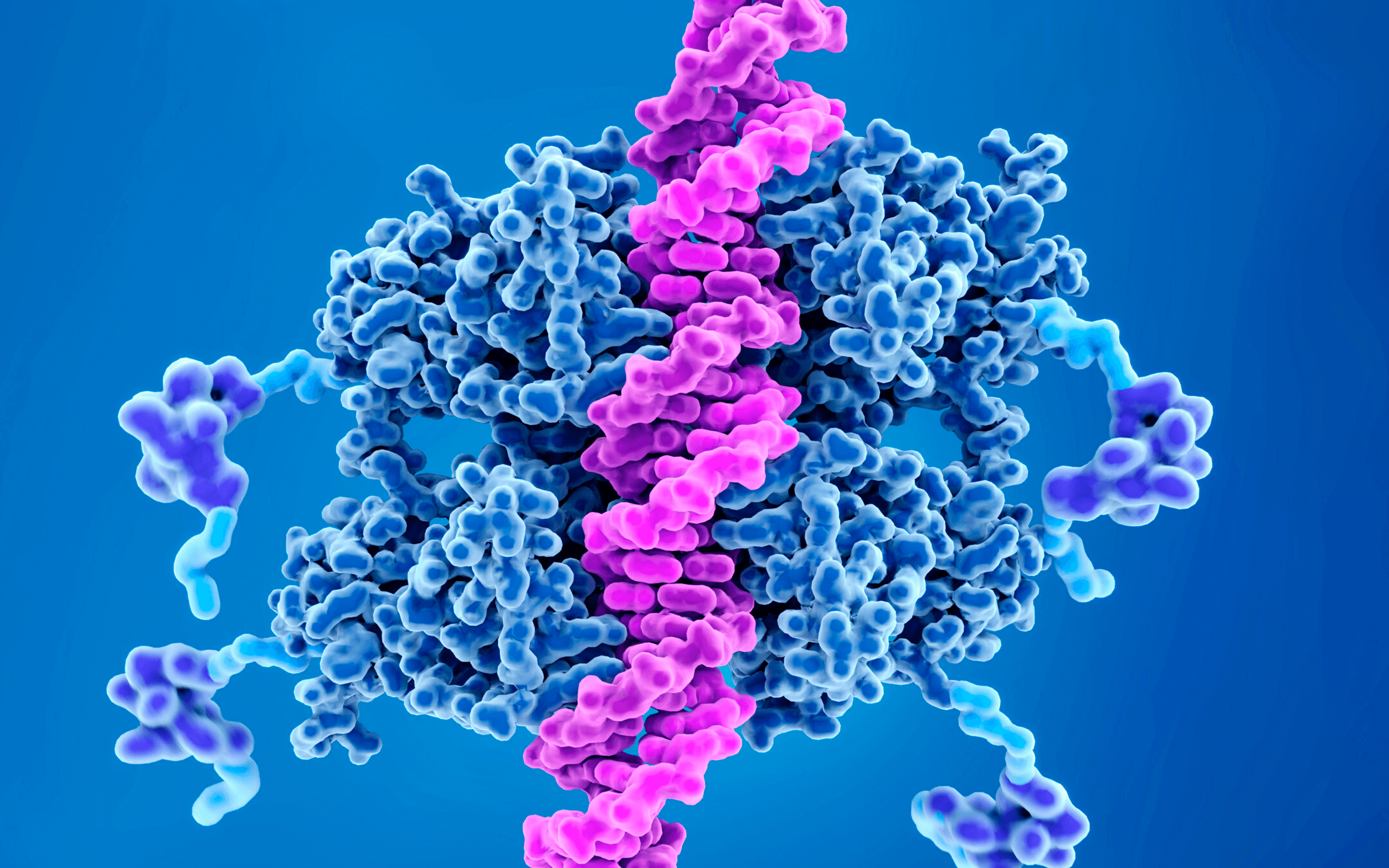 Biocomputational Engineering