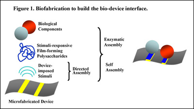 biofabrication