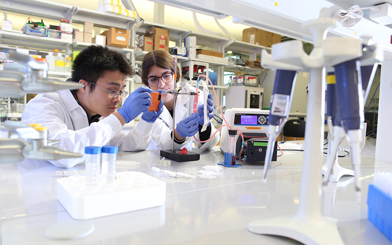 Two researchers work in the Fisher Lab on tissue engineering projects.